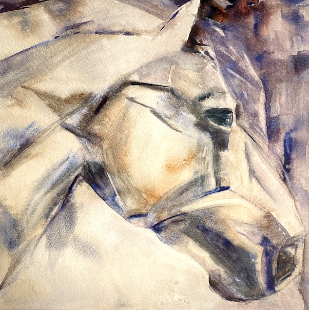 chevaux-6